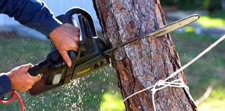Best Soil Testing and Treatment  in St Clair, MO