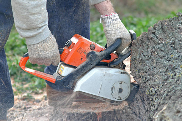 Best Utility Line Clearance  in St Clair, MO